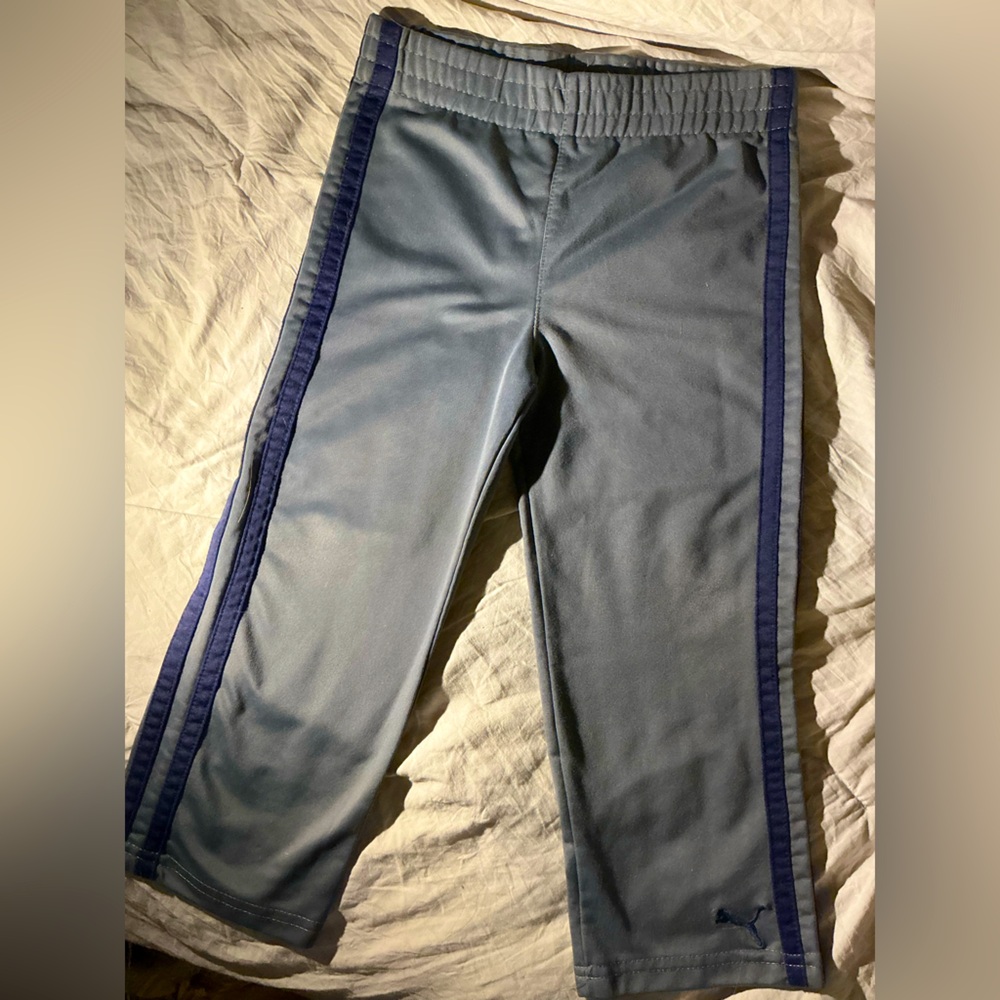 Puma - Picture 2 of 2